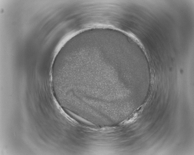 X0000054461287200508191653