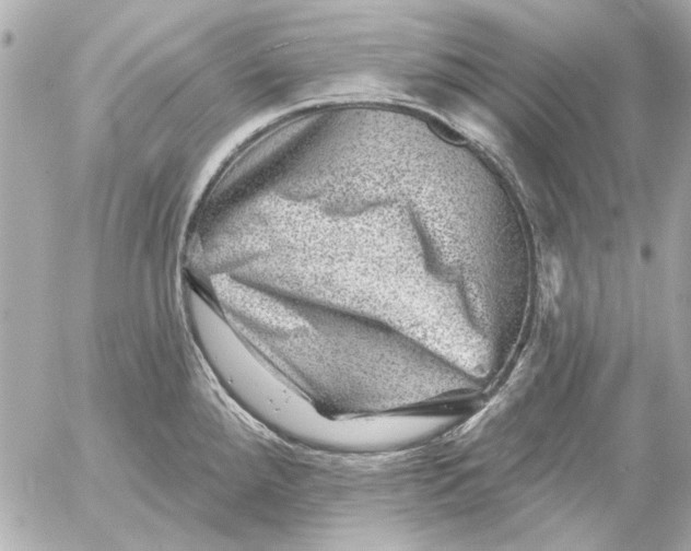 X0000054461288200508191653