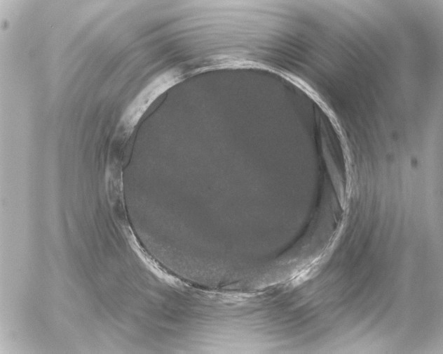 X0000054461289200508191653