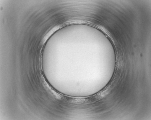 X0000054461290200508191653