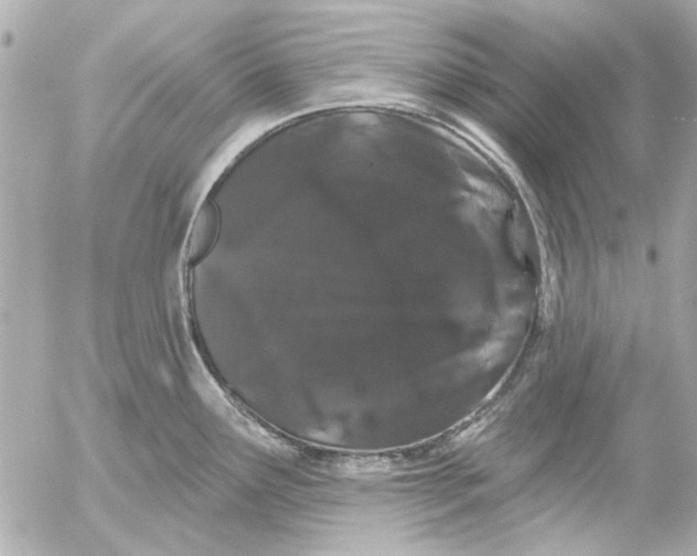 X0000054461291200508191653