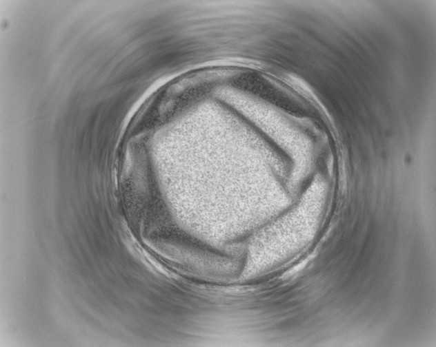 X0000054461292200508191653