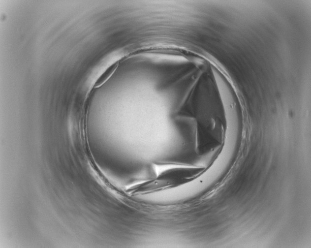 X0000054461293200508191653