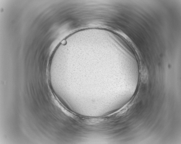 X0000054461294200508191653