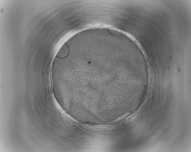 X0000054461295200508191653