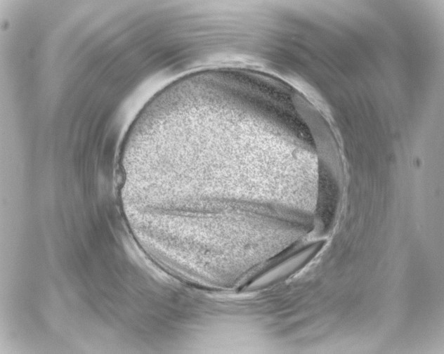 X0000054461296200508191653