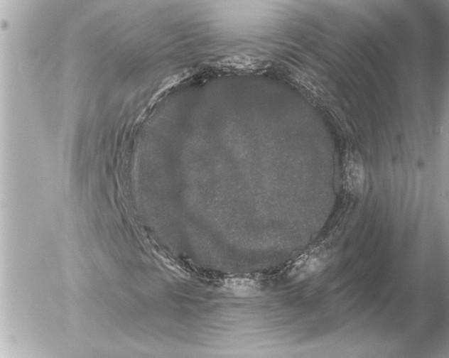 X0000054461297200508191652