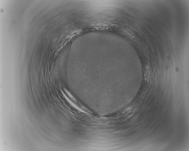 X0000054461298200508191652