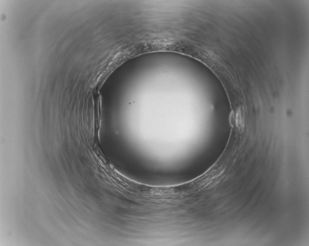 X0000054461299200508191652