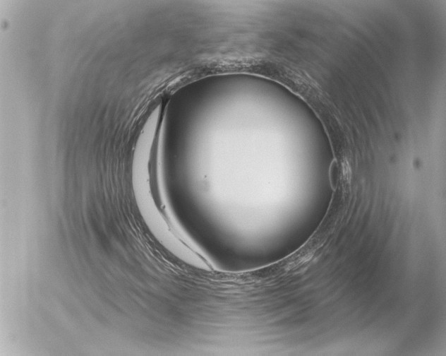 X0000054461300200508191652