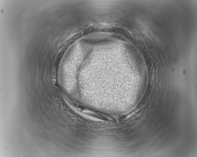 X0000054461301200508191652