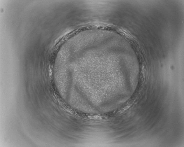 X0000054461302200508191652