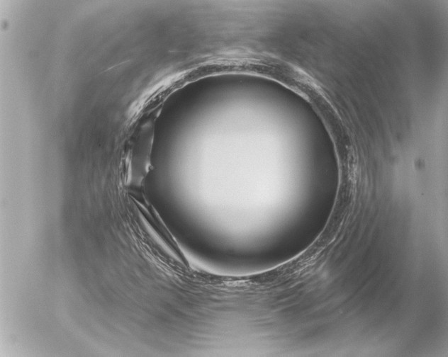 X0000054461304200508191652