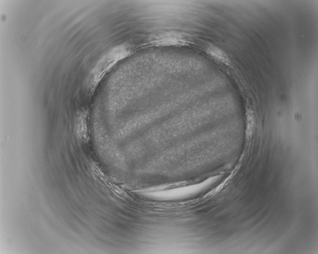 X0000054461305200508191652