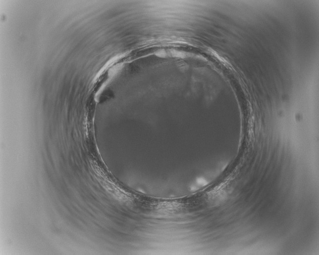 X0000054461306200508191652