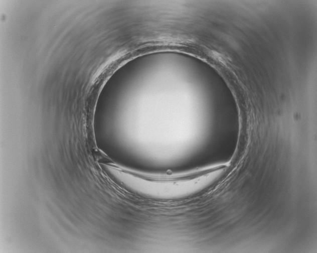 X0000054461307200508191652