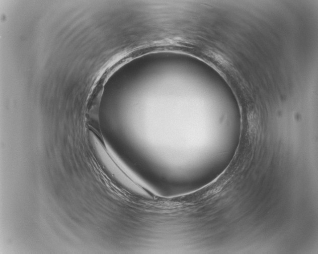 X0000054461308200508191652