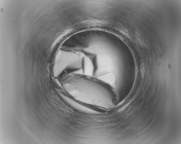 X0000054461309200508191652