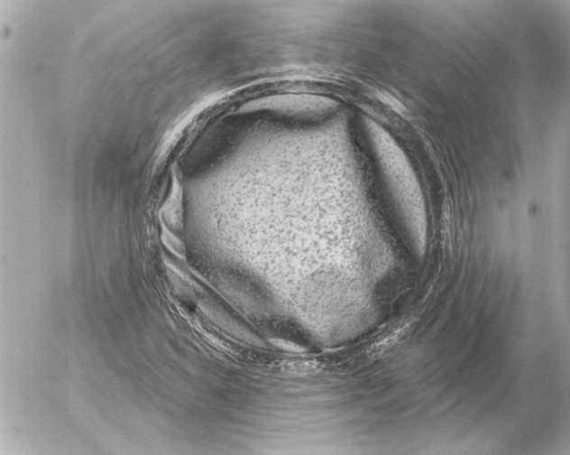 X0000054461310200508191652