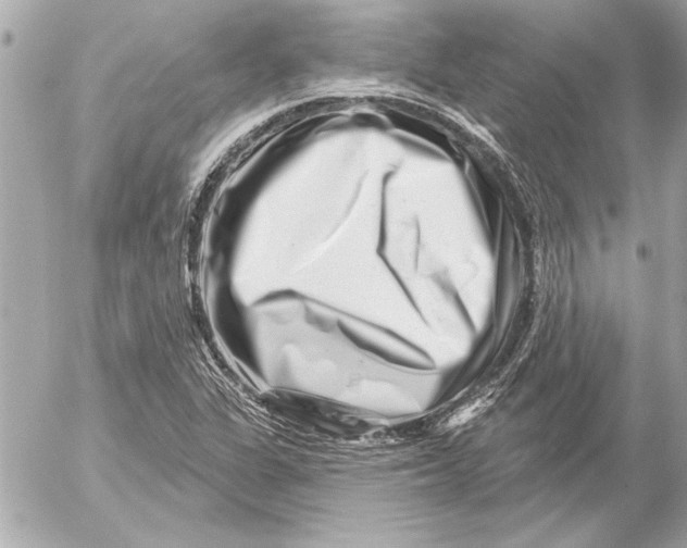 X0000054461311200508191652