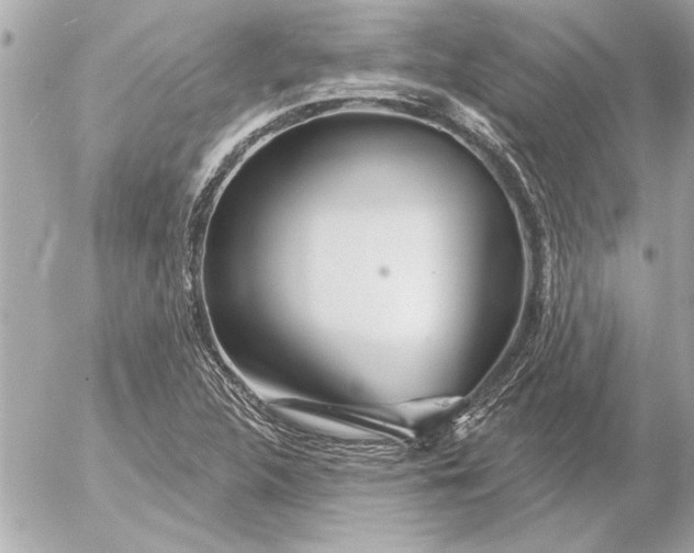 X0000054461312200508191652