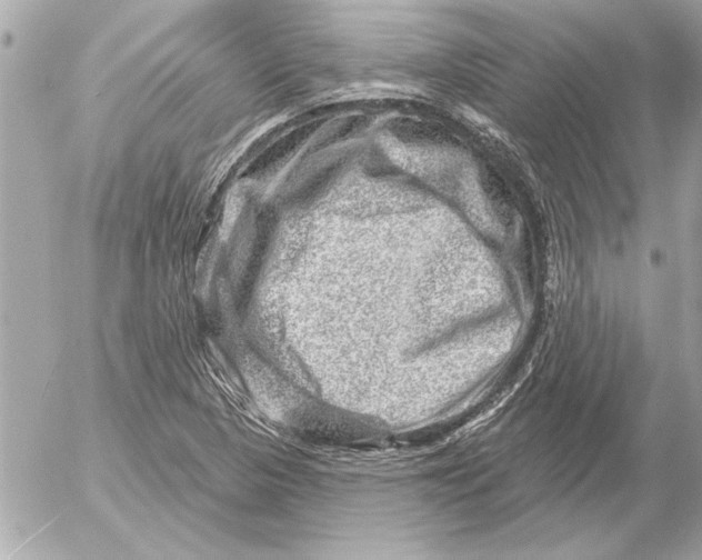 X0000054461313200508191652