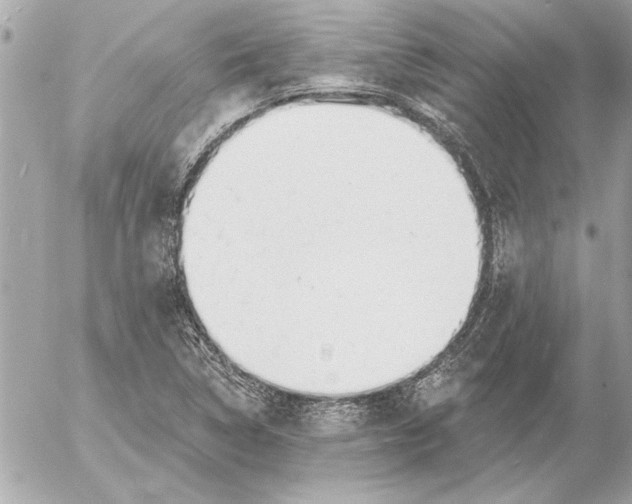 X0000054461314200508191652