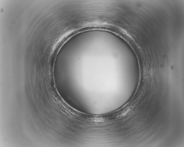 X0000054461315200508191652