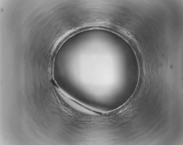 X0000054461316200508191652