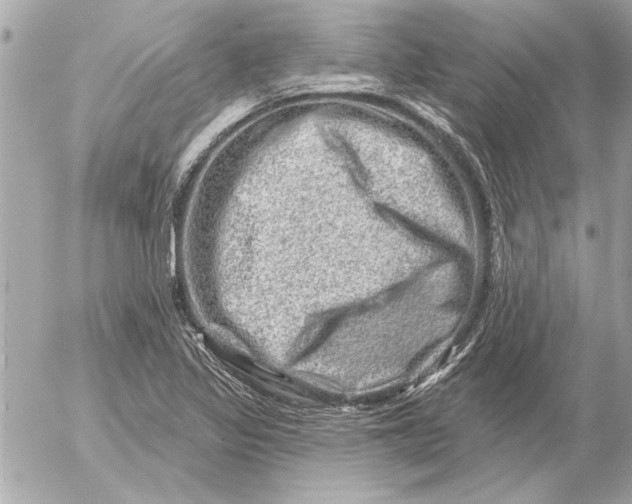 X0000054461317200508191652