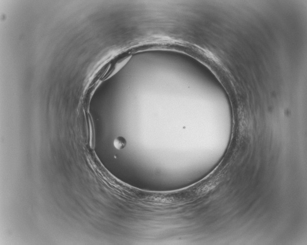 X0000054461318200508191652