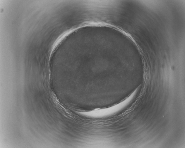 X0000054461319200508191652