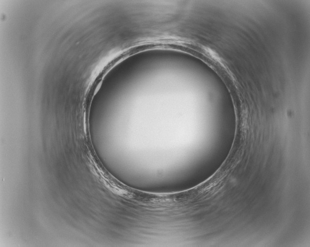 X0000054461320200508191652