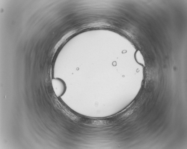 X0000054461322200508191652