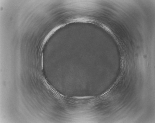 X0000054461323200508191652