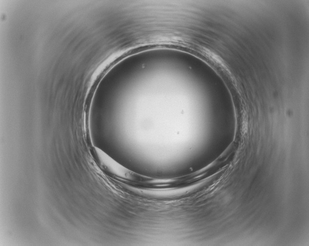 X0000054461324200508191652