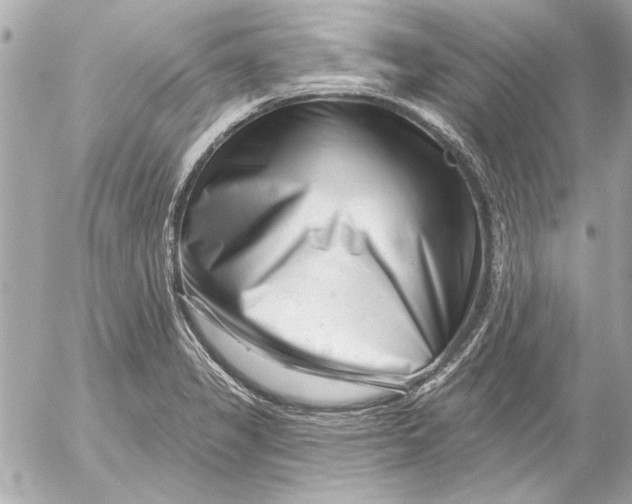 X0000054461325200508191652