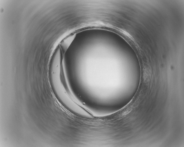 X0000054461326200508191652