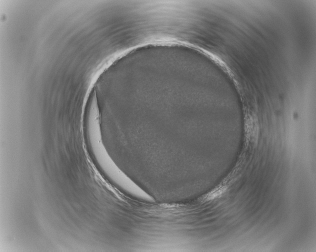 X0000054461327200508191652