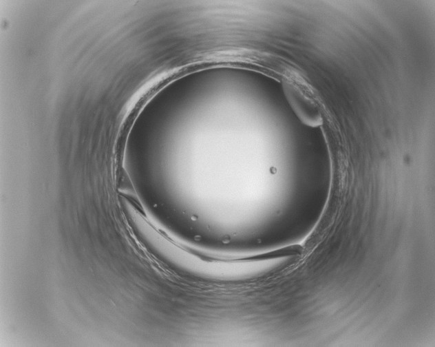 X0000054461328200508191652