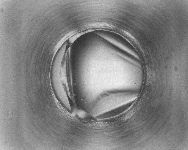 X0000054461330200508191652