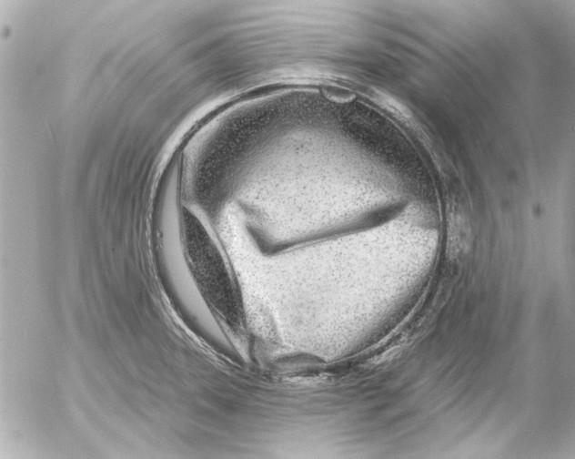 X0000054461331200508191652