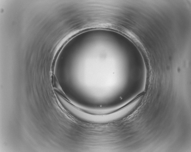 X0000054461332200508191652