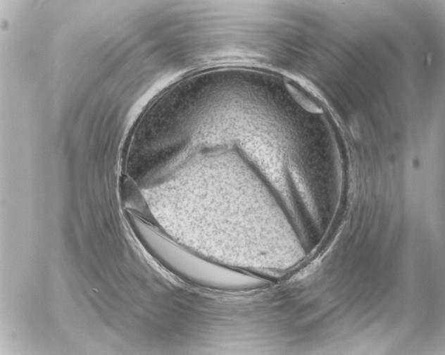 X0000054461333200508191652