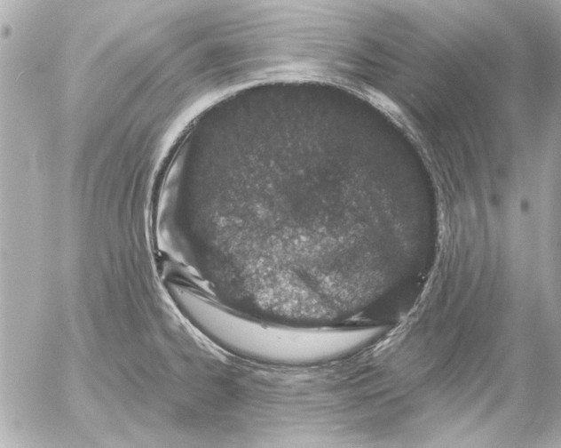 X0000054461334200508191652