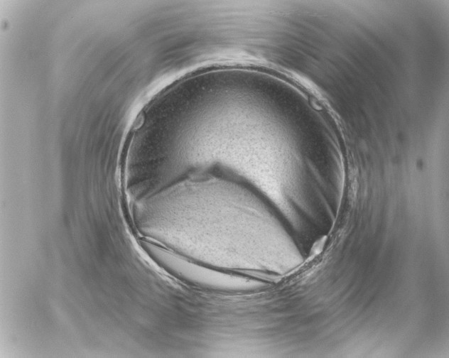 X0000054461335200508191652