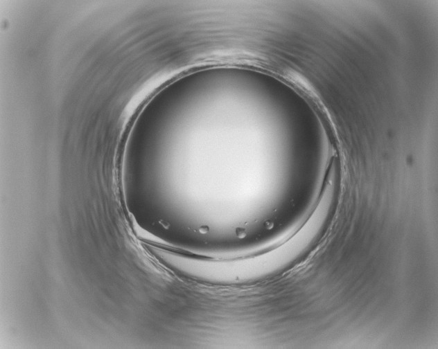 X0000054461336200508191652