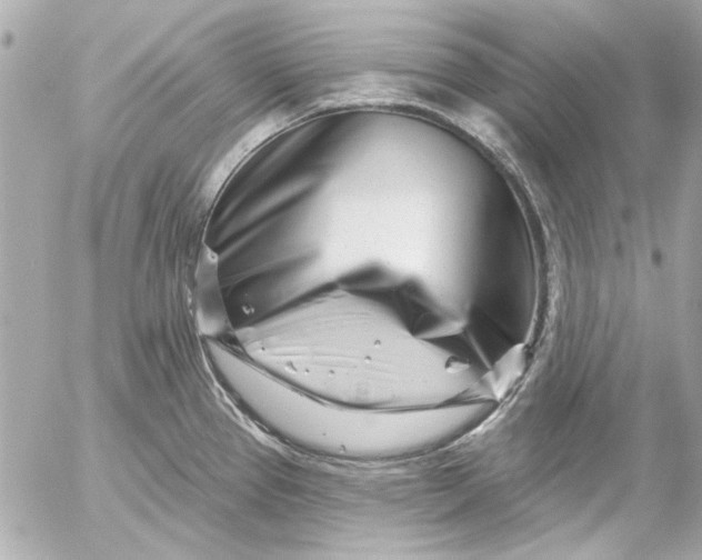 X0000054461337200508191652