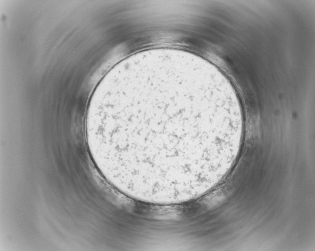 X0000054461338200508191652