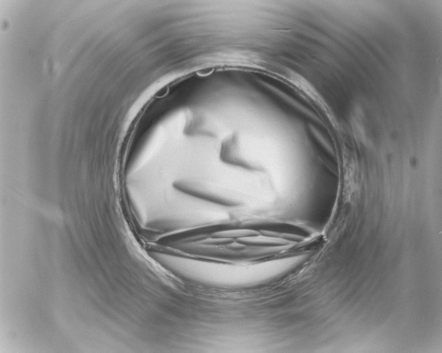 X0000054461339200508191653